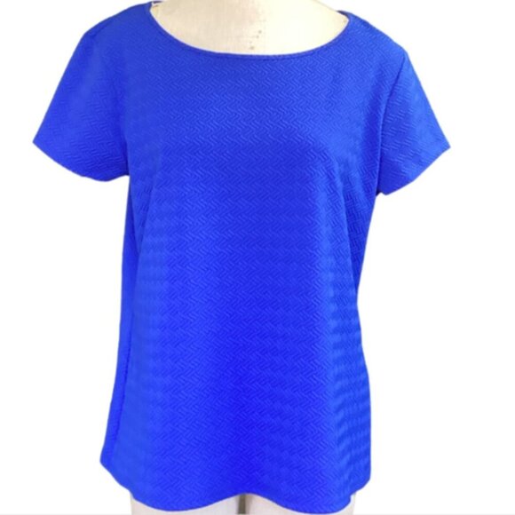 Bundle of 2 Jaclyn Smith Short Sleeve Knit Tops 2XL Blue & Red NWT #169H - Picture 2 of 11